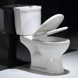 Close-couple water closet (big tank) - Image 2